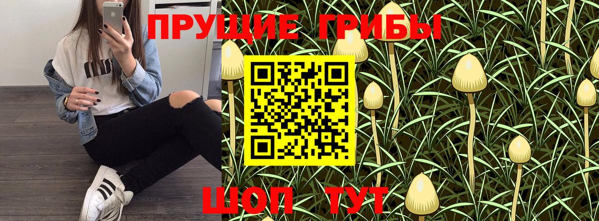Псилоцибиновые грибы Psilocybe  Вход с VPN  Скопин  Псилоцибиновые грибы Magic Shrooms 
